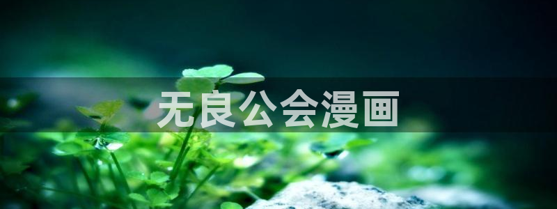 阿衰漫画免费下拉式奇漫屋漫画：无良公会漫画