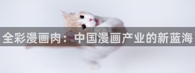 奇漫屋画免费漫画下拉式在线看：全彩漫画肉：中国漫画产业的新蓝海